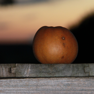 groenten of kruidentuin