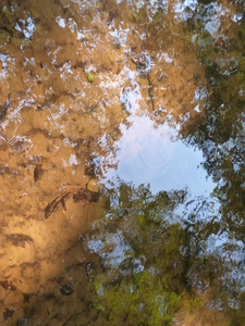 Weerspiegeling in het water een onwerkelijke wereld