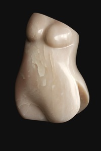 Torso's en vogels, realistisch of abstract.
