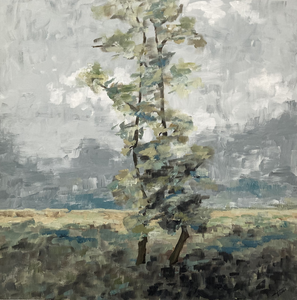 eenvoud en kracht in kleur