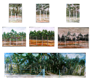 Gedurende een jaar hebben Peter, Eddy, Jan een x per maand op de zelfde locatie  een registratie gemaakt van de Doodendraad. De Doodendraad bevond zich tijdens de 1e WO op de grens tussen het bezette België en het Vrije Nederland