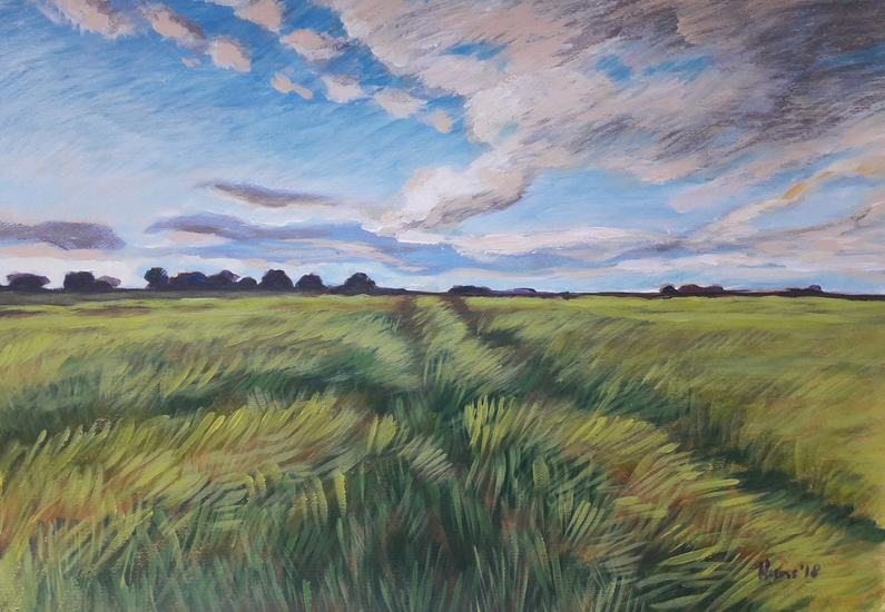 Weideveld