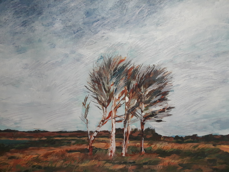 Texels landschap met berkenboompjes