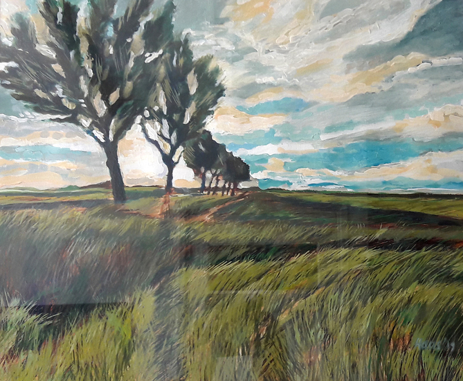 Noordhollands landschap met bomen