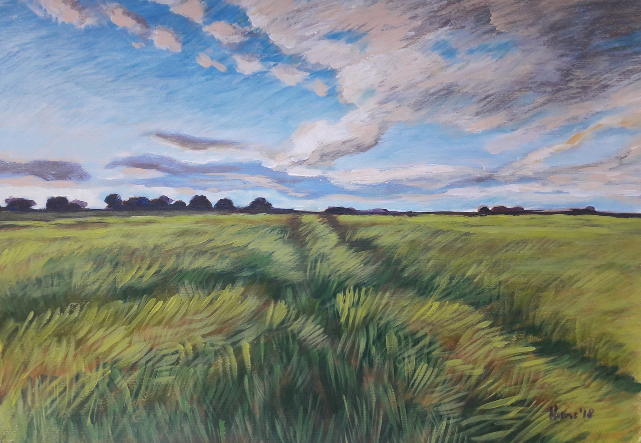 Weideveld