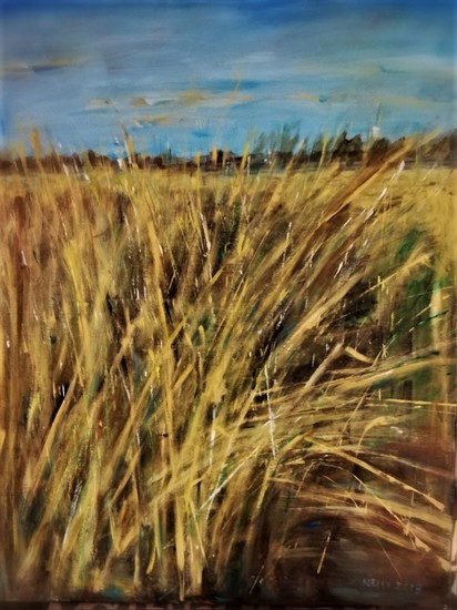 Grassen/Ameland