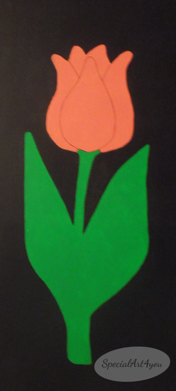 Tulp