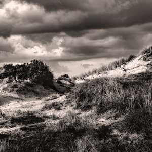 In deze serie is de ongepolijste schoonheid van het duinlandschap vastgelegd. De lijnen, de contrasten, het licht van een noordelijk land. Landschap met weidsheid, maar ook met intimiteit, de indrukwekkende luchten, landschap getekend door de zeewind, verbrokkelende struiken, het geheel eenzamer dan de delen. Het duinlandschap kan appelleren aan gevoelens van overleven, het trotseren van natuurkrachten, maar ook aan rust en eigenheid.