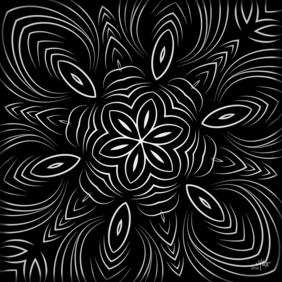 Budding flower in black
