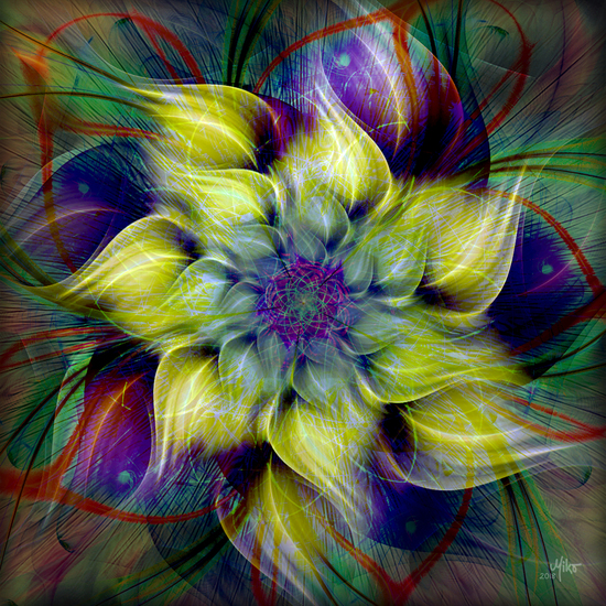 Yellow flower