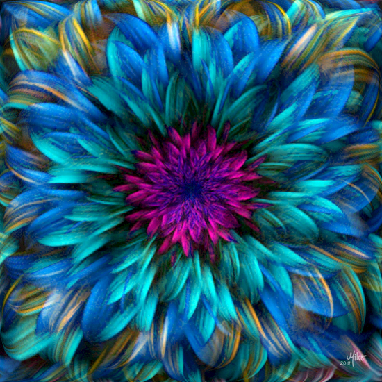 Winter bloom