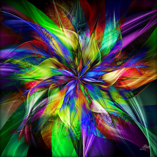 Paradise flower