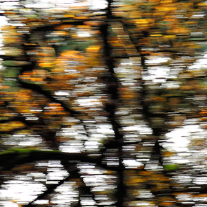 last autumn still we loved, now all that's left are fragments, brittle thoughts that soon will be no more