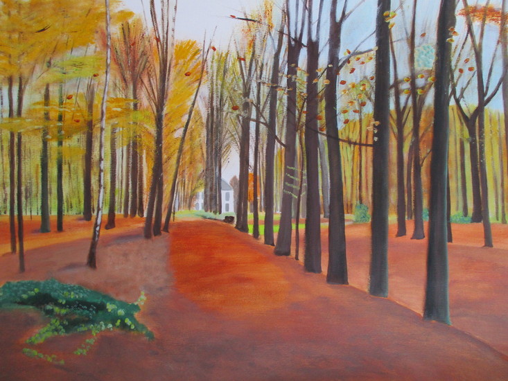 Herfstbos 3