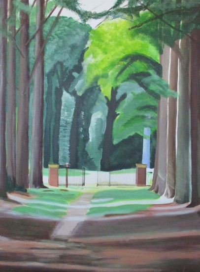 Pad naar het bos