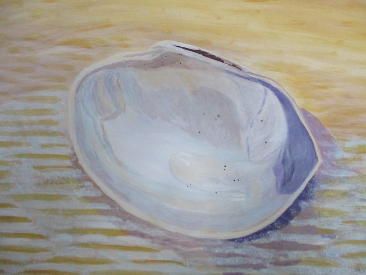 Schelpen - Grote Schelp