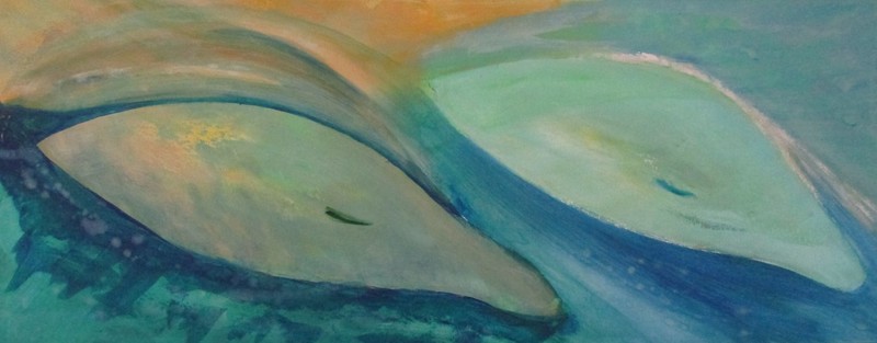 Blue Dolphin