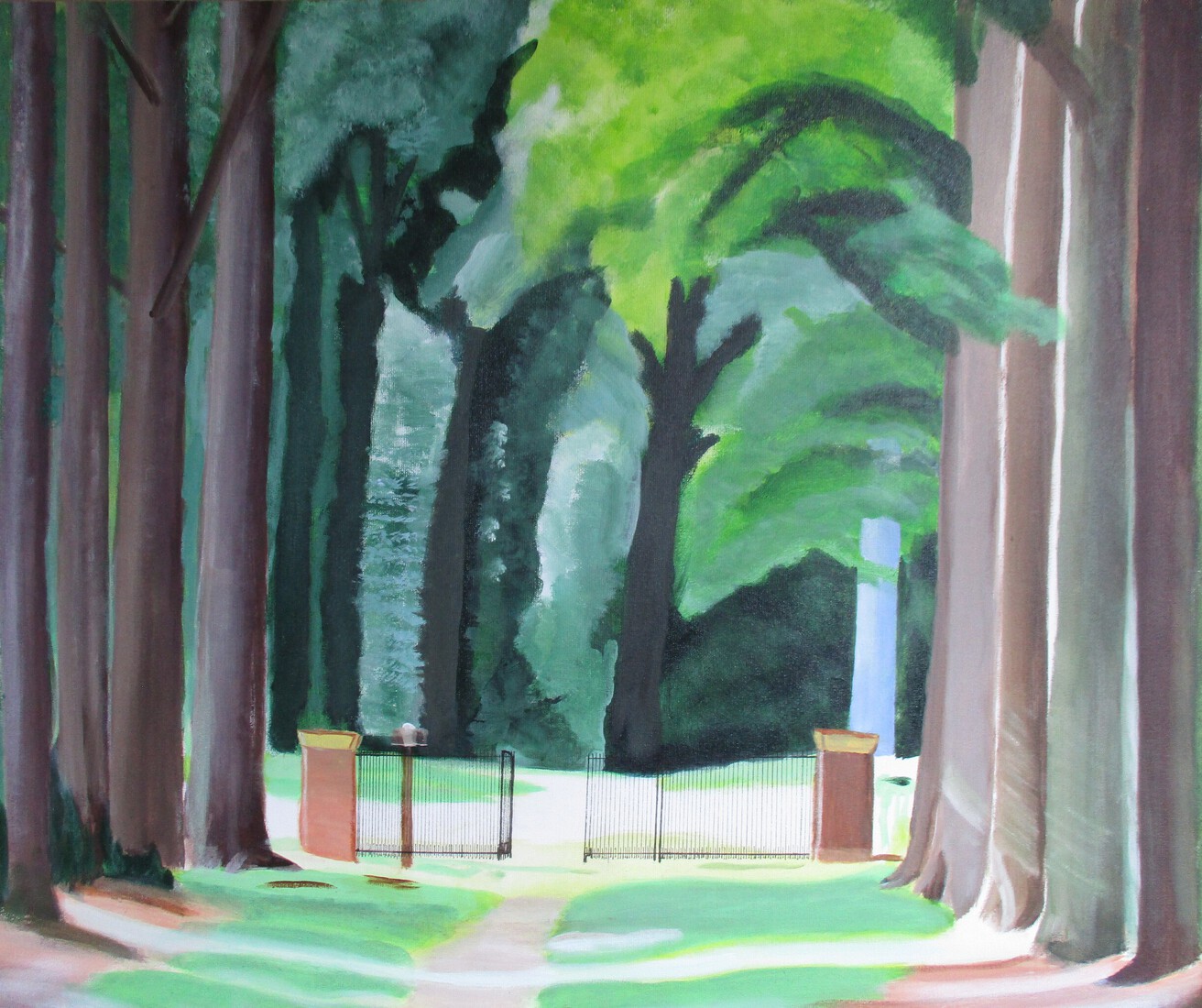 Pad naar het bos