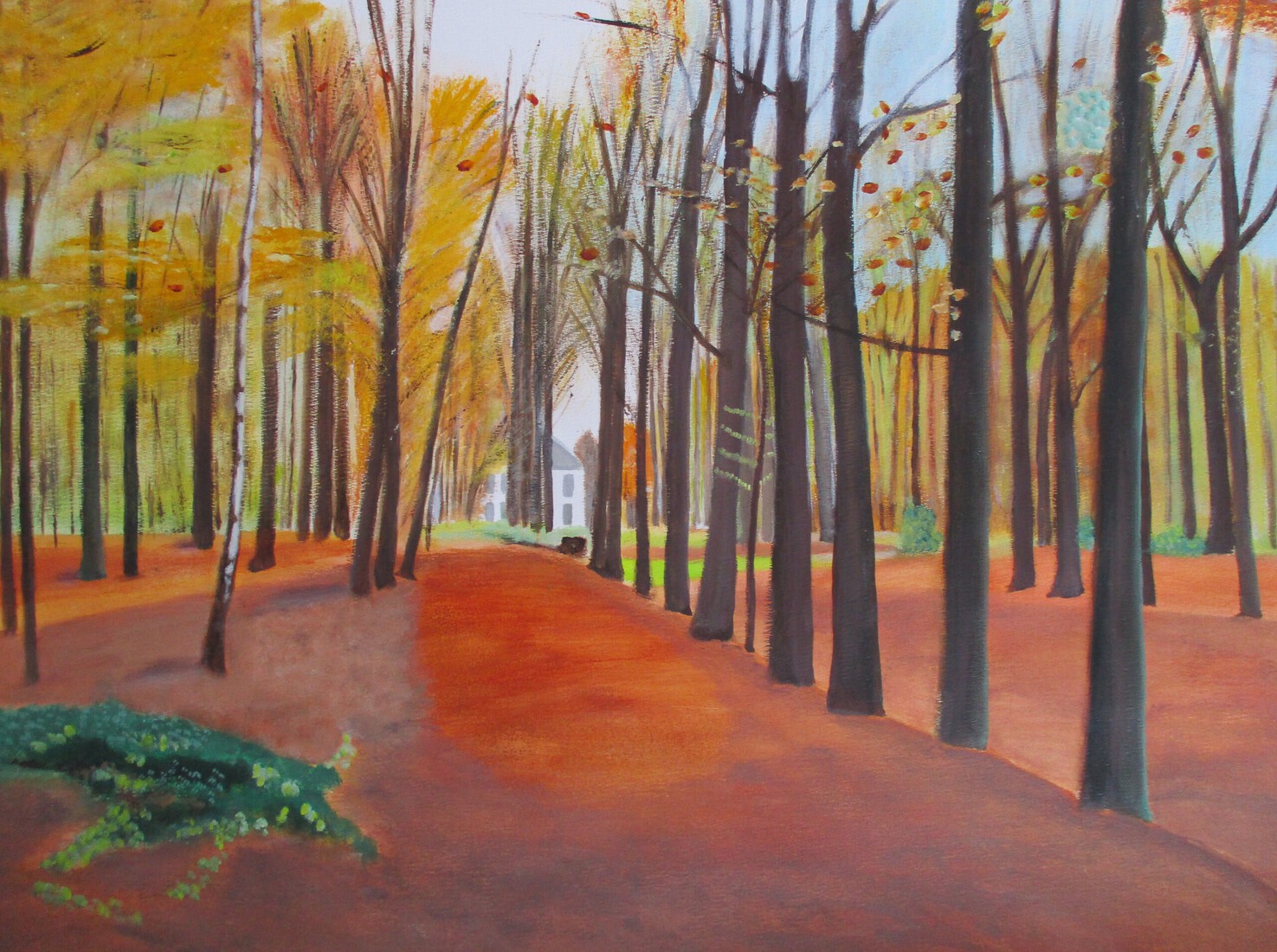 Heilooerbos herfst