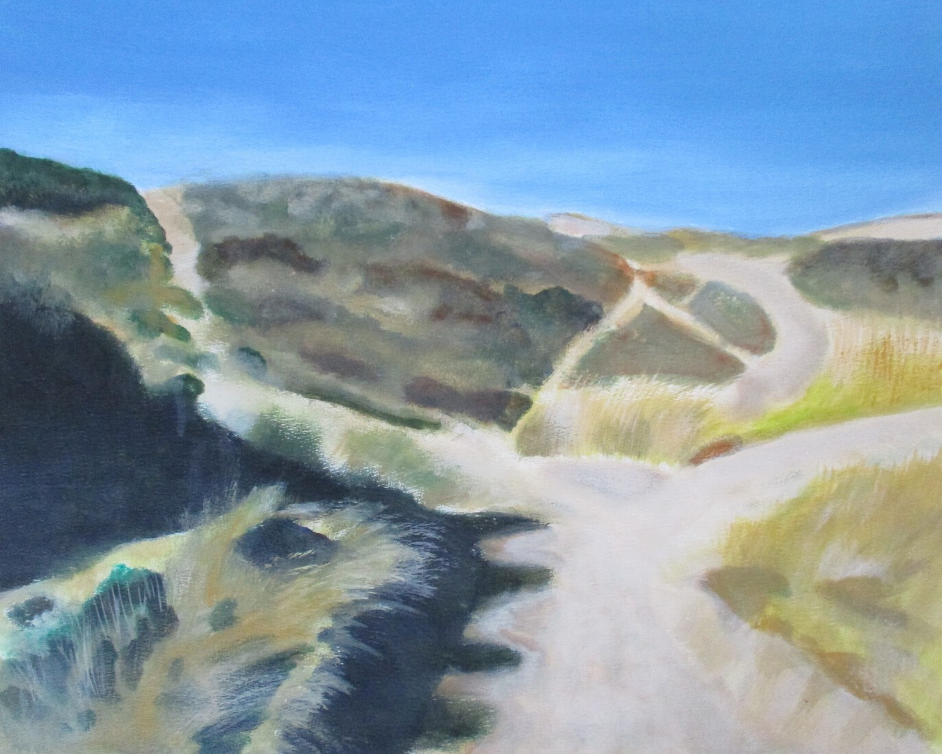 Duinlandschap 3
