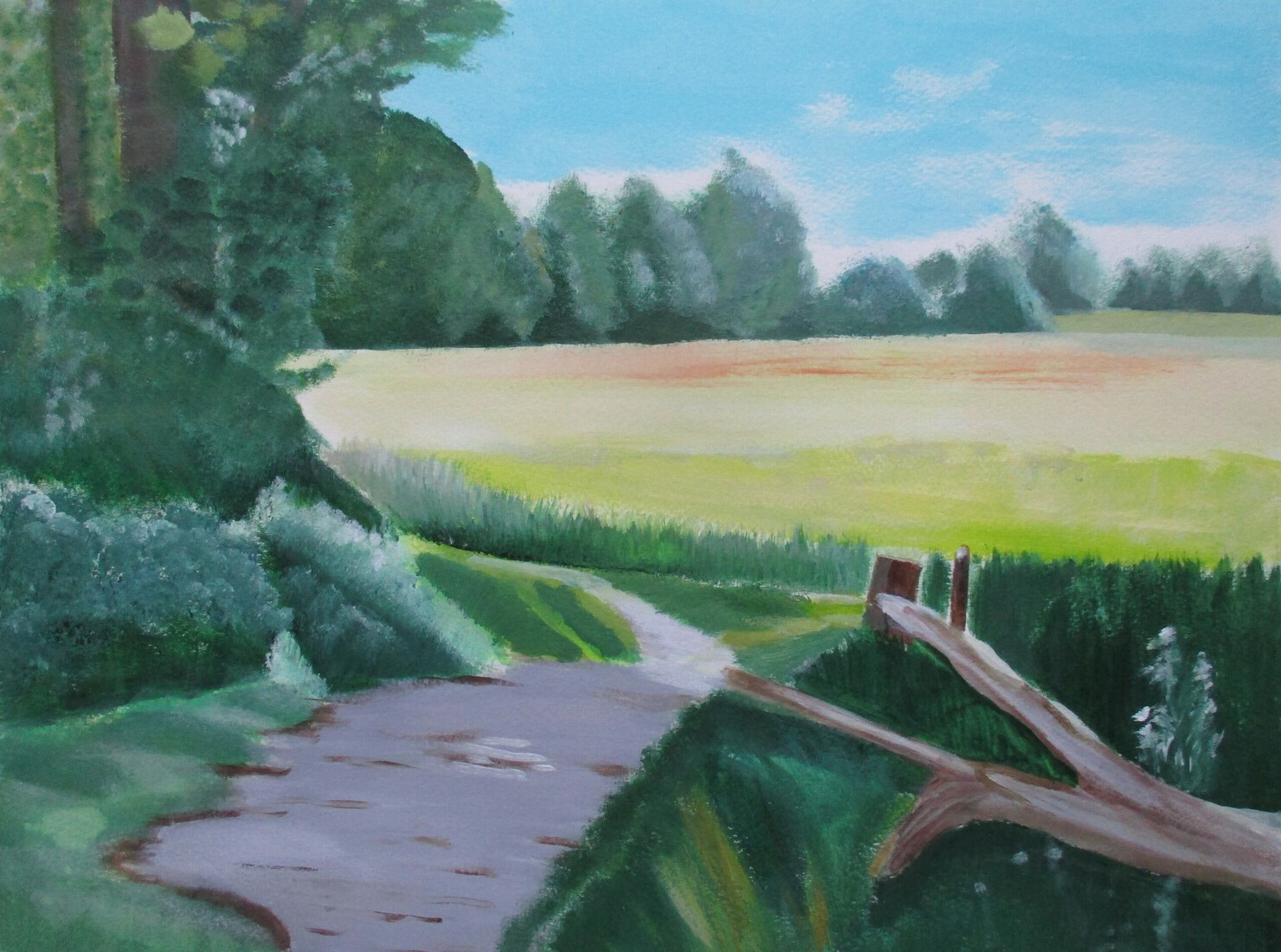 Drenthe 1