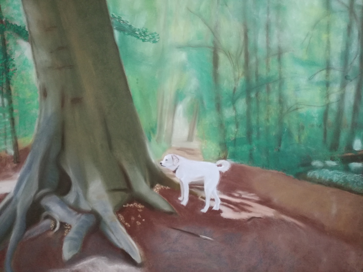 Hondje in het bos