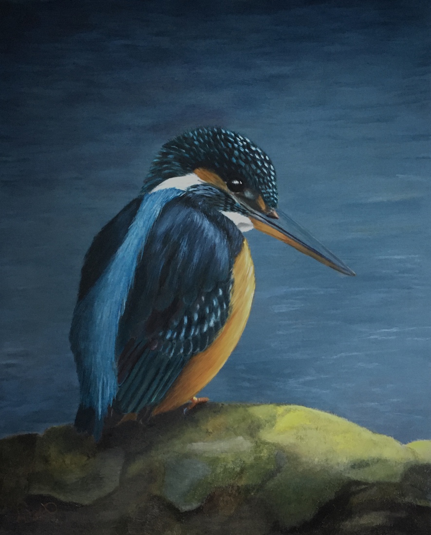 The Queen Kingfisher