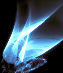 composities in DANSLICHT
