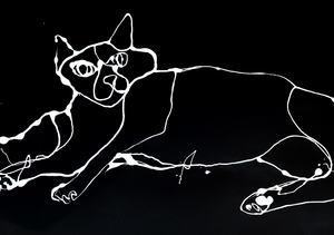 Deze afbeeldingen zijn eenvoudige weergaven op zwart papier. Ze zijn