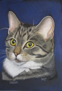 Portretten van dieren gemaakt met aquarel of pastelkrijt op diverse papiersoorten en olieverf of acryl op doek.