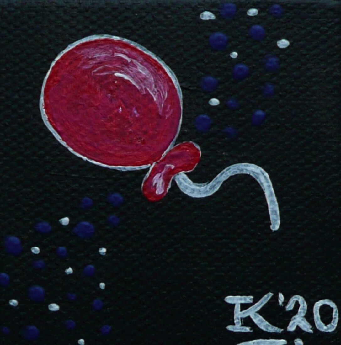 Miniballonschilderijtje 1