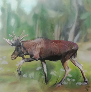 In opdracht maak ik een portret van uw geliefde dier, het kan in zowel potlood, olieverf als aquarel en verschillende afmetingen zijn mogelijk.
