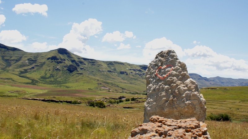 hart bloemblaadjes oranje