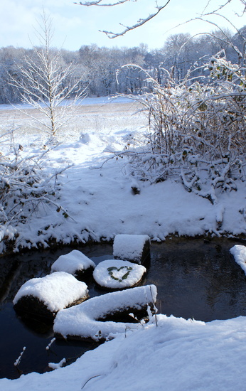 hart in Renkumse beek