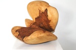 In de natuur zie ik mooie vormen en beelden ontstaan die eigenlijk al kunstwerken op zich zijn.Ik probeer die vormen zichtbaar te maken. Mijn kunst is tastbaar,vooral mijn kunstwerken in hout. Hout heeft van nature een aantrekkingskracht om aan te raken en te bewonderen met je handen.