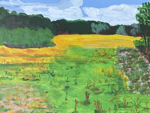 Landschappen door de jaren heen. Acryl en aquarel.