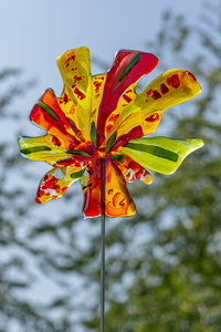 de Tuinbeelden zijn gemaakt van Bulls Eye Glas. Het glas is gefused en gevormd in de Fuse-oven.