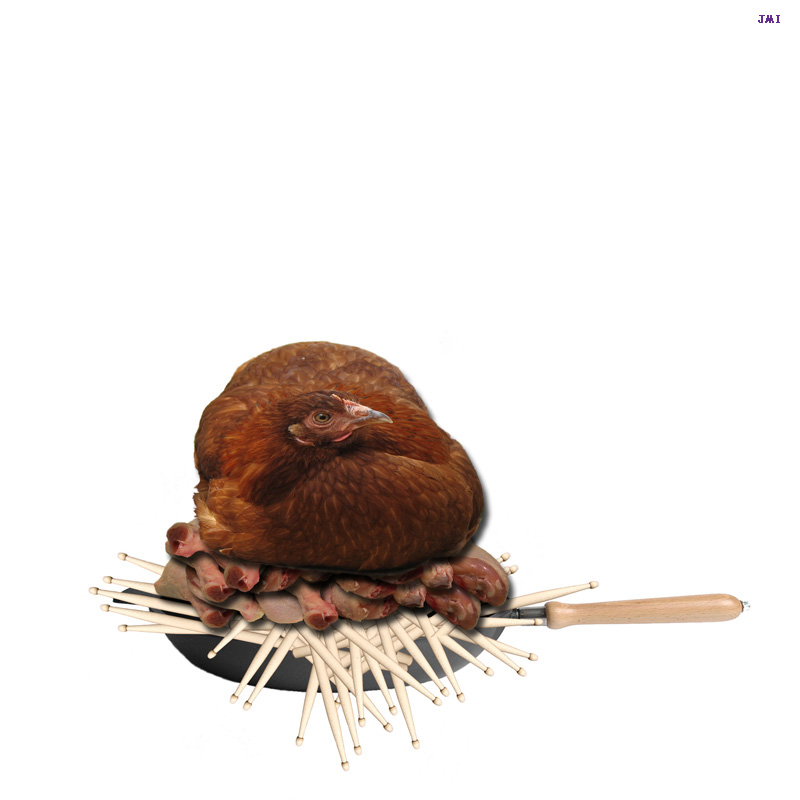 Broedende kip met drumsticks en drumsticks.