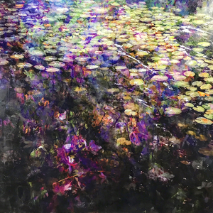 Door de natuur geïnspireerde Mixed Media kunst. Een combinatie van papier op paneel, beschilderd met pigment, inkt, olieverf, damar en bijenwas. Soms in combinatie met fotografische elementen en/of digital Art.