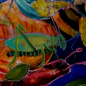 Insecten zijn mooi, gedetailleerd, kleurrijk. En er zijn er veel te weinig van.
Een ode aan deze kleine kriebelbeestjes!!