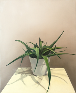 Stillevens van allerlei objecten. Met name bij de plantserie is mijn streven om de ruimte tussen voor- en achtergrond voelbaar te maken. Je moet het gevoel hebben dat je je hand achter de plant kunt leggen.