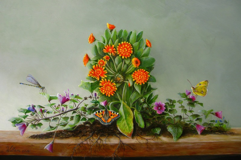 17 De negenarmige goudsbloem.