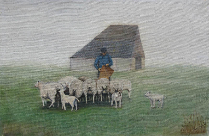 7 Texelse boer voert zijn schapen in de mist.