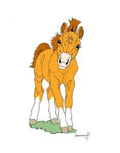 illustraties voor kinderboeken