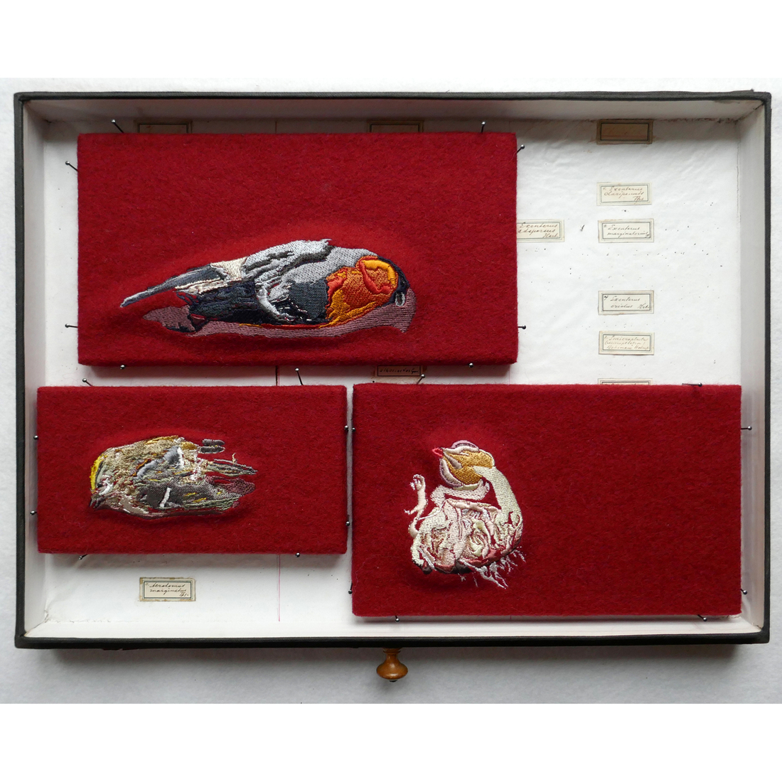 uit de serie Vogelgeluiden doos 6-1