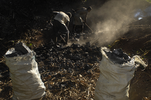 In hardly industrialized countries like Madagascar charcoal is an important source of energy for food preparation. Charcoal is produced by char-pit method, carbonizing wood. Environmental damage is inevitable as deforestation and erosion are the result of intensive logging.