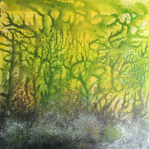 De werken zijn geïnspireerd op het thema Mycelium, het ondergrondse schimmelnetwerk en hoe dat het leven bovengronds beïnvloedt. Het zijn impressies waarin ik vooral de diversiteit en dynamiek van deze symbiose wil laten zien. De uitdaging was vooral om het samenspel van levensnetwerken in hun schoonheid te vangen. Dat was een 'ver-wondergrondse' interessante zoektocht. Het boek 'Verweven leven' van Merlin Sheldrake was mijn leidraad.
Te zien van 22 juni t/m 12 juli 2024 op Kunsterf Norg.