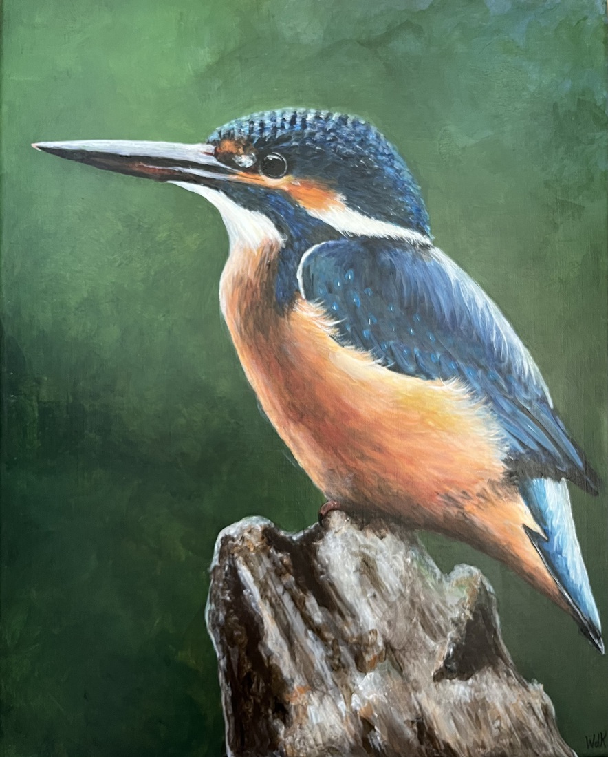 IJsvogel