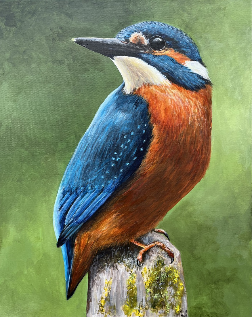 IJsvogel