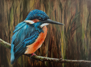 Olieverf- en acrylverf schilderijen van ijsvogels
